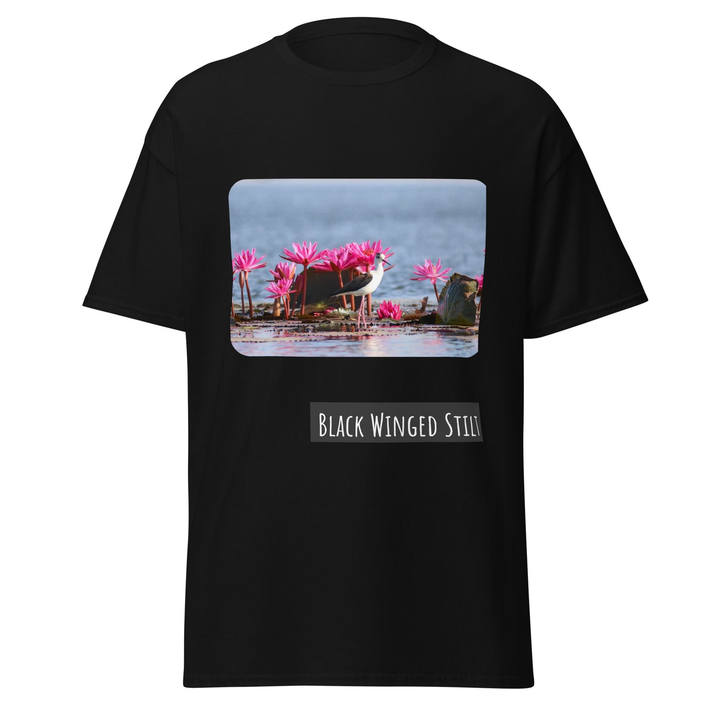 Black Winged Stilt T-Shirt